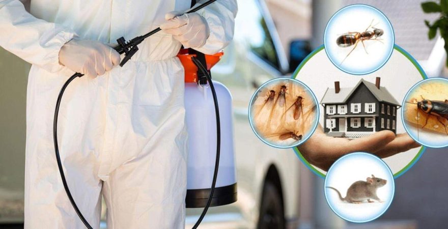 Köprübaşı Böcek İlaçlama