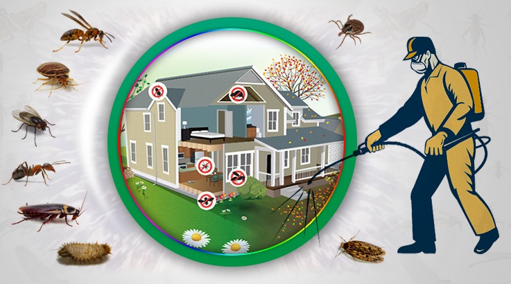 Köprübaşı Böcek İlaçlama