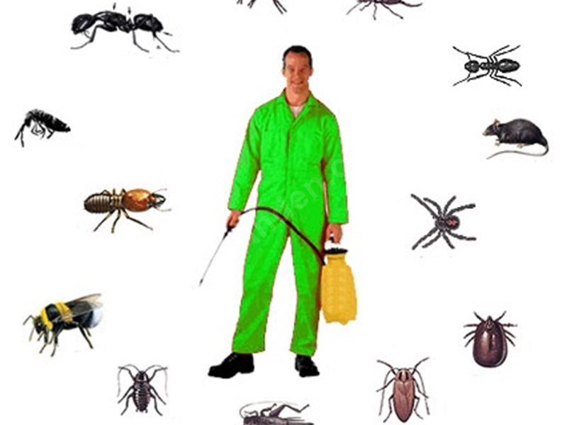 Köprübaşı Böcek İlaçlama